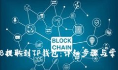 如何将SHIB提取到TP钱包：详细步骤与常见问题解
