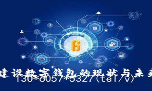 中国建设数字钱包的现状与未来展望