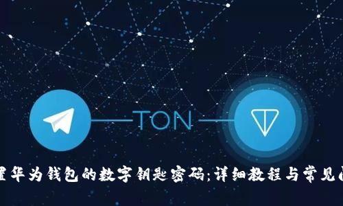 如何设置华为钱包的数字钥匙密码：详细教程与常见问题解答