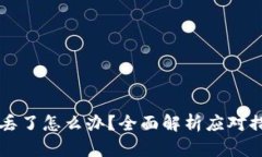 区块链冷钱包丢了怎么办？全面解析应对措施与