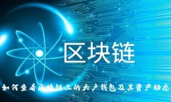 如何查看区块链上的大户