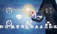 微信：数字钱包的未来与
