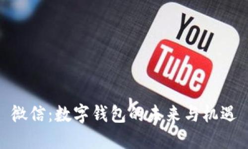 微信：数字钱包的未来与机遇