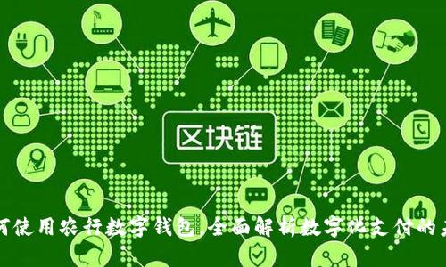 如何使用农行数字钱包，全面解析数字化支付的未来