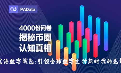 龙港数字钱包：引领全球数字支付新时代的先锋