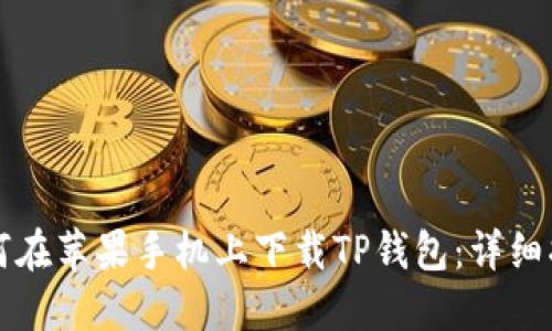 如何在苹果手机上下载TP钱包：详细指南