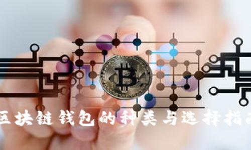 区块链钱包的种类与选择指南