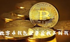如何解决数字币钱包登录