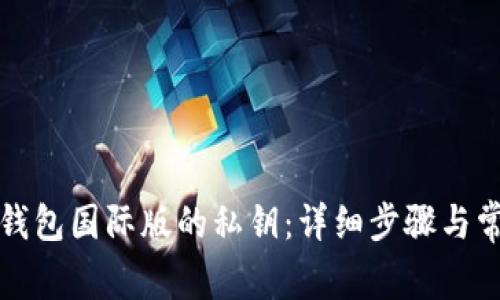 如何找回TP钱包国际版的私钥：详细步骤与常见问题解答