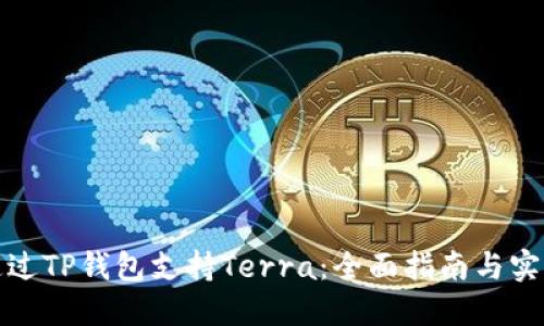 如何通过TP钱包支持Terra：全面指南与实用技巧