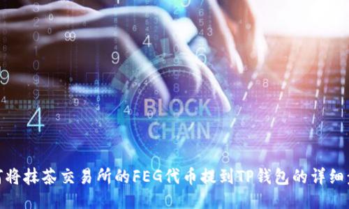 如何将抹茶交易所的FEG代币提到TP钱包的详细步骤